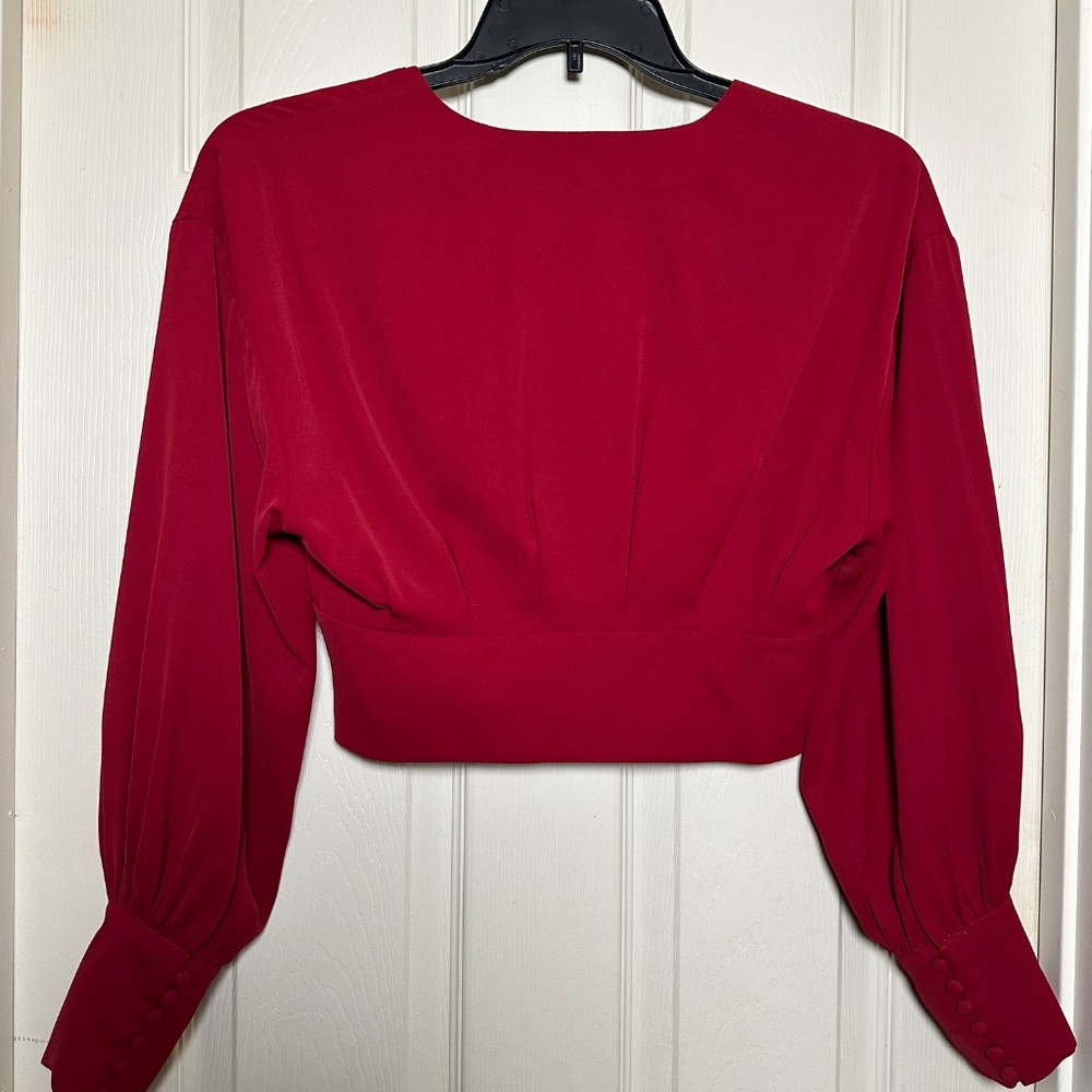 Backyard Roses Deep V Red Blouse - Picture 4 of 5